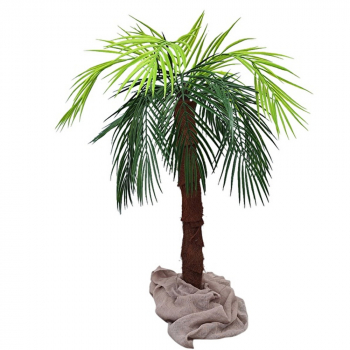 Palmen mit ausladender Krone